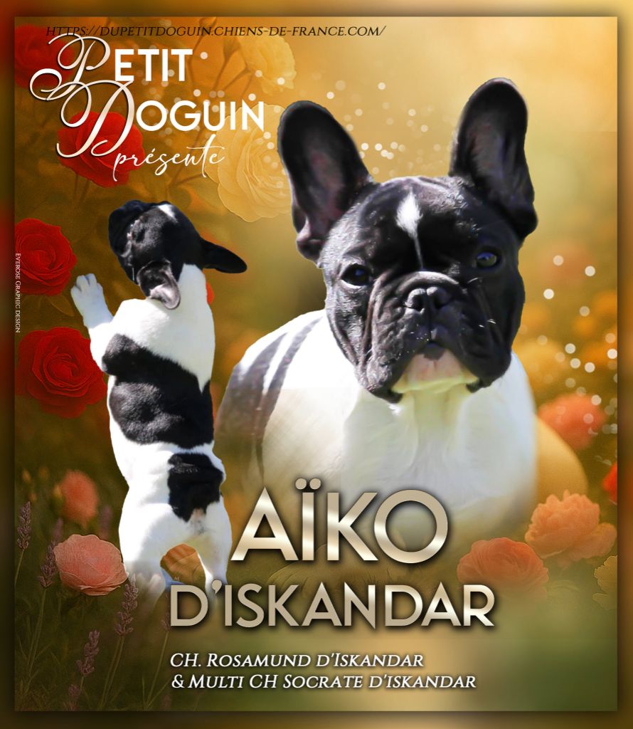 Aîko d'Iskandar