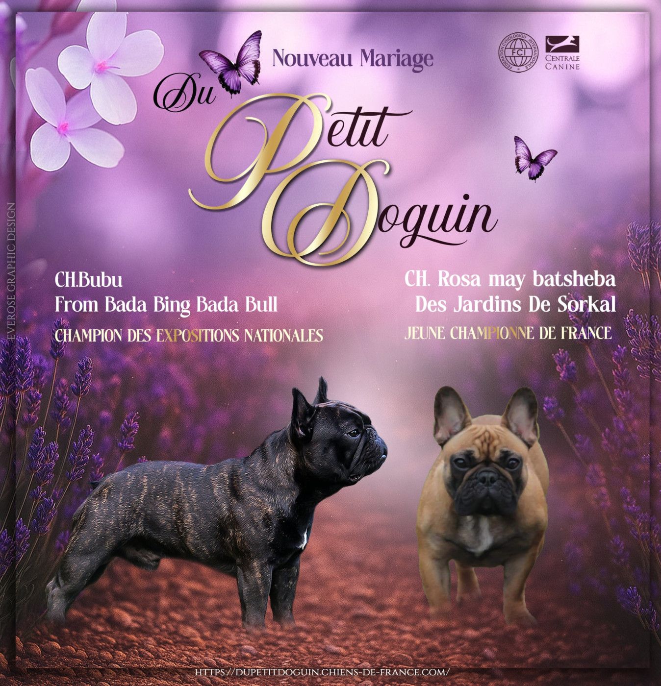 Du Petit Doguin - Une jolie nouvelle pour la fin de l'année