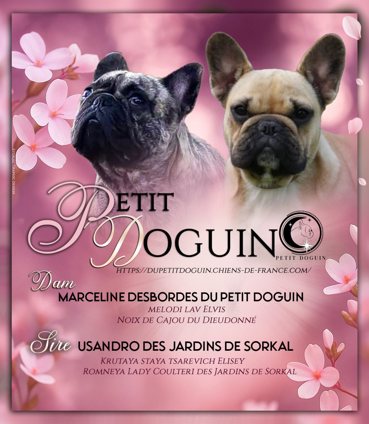 Du Petit Doguin - La "Family du Petit Doguin " va s'agrandir....